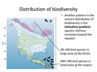 Distribution of biodiversity
• Another pattern in the
uneven distribution of
biodiversity is the
latitudinal gradient:
species richness
increases toward the
equator.
30–100 bird species in
large area of the Arctic
500–700 bird species in
small area of the tropics
 