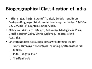 Biogeographical Classification of India
• India lying at the junction of Tropical, Eurasian and Indo
Malayan Biogeographical realms is among the twelve “ MEGA
BIODIVERSITY” countries in the world.
• Other countries are : Mexico, Columbia, Madagascar, Peru,
Brazil, Equator, Zaire, China, Malaysia, Indonesia and
Australia.
• On geographical basis, India has 3 well defined regions:
Trans- Himalayan mountains including north-eastern hill
ranges.
Indo-Gangetic Plain
The Peninsula
 