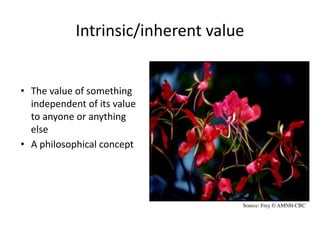 Intrinsic/inherent value
• The value of something
independent of its value
to anyone or anything
else
• A philosophical concept
Source: Frey © AMNH-CBC
 