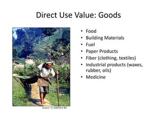 Direct Use Value: Goods
• Food
• Building Materials
• Fuel
• Paper Products
• Fiber (clothing, textiles)
• Industrial products (waxes,
rubber, oils)
• Medicine
Source: © AMNH-CBC
 