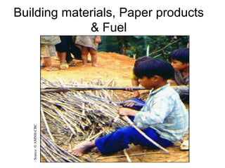Source:
©
AMNH-CBC
Building materials, Paper products
& Fuel
 