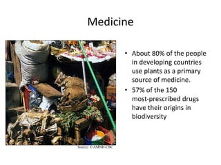 Medicine
• About 80% of the people
in developing countries
use plants as a primary
source of medicine.
• 57% of the 150
most-prescribed drugs
have their origins in
biodiversity
Source: © AMNH-CBC
 