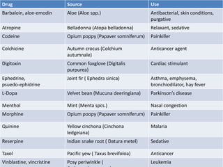 Drug Source Use
Barbaloin, aloe-emodin Aloe (Aloe spp.) Antibacterial, skin conditions,
purgative
Atropine Belladonna (Atopa belladonna) Relaxant, sedative
Codeine Opium poppy (Papaver somniferum) Painkiller
Colchicine Autumn crocus (Colchium
autumnale)
Anticancer agent
Digitoxin Common foxglove (Digitalis
purpurea)
Cardiac stimulant
Ephedrine,
psuedo-ephidrine
Joint fir ( Ephedra sinica) Asthma, emphysema,
bronchiodilator, hay fever
L-Dopa Velvet bean (Mucuna deeringiana) Parkinson’s disease
Menthol Mint (Menta spcs.) Nasal congestion
Morphine Opium poopy (Papaver somniferum) Painkiller
Quinine Yellow cinchona (Cinchona
ledgeiana)
Malaria
Reserpine Indian snake root ( Datura metel) Sedative
Taxol Pacific yew ( Taxus brevifoloa) Anticancer
Vinblastine, vincristine Posy periwinkle ( Leukemia
 
