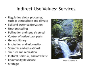 Indirect Use Values: Services
• Regulating global processes,
such as atmosphere and climate
• Soil and water conservation
• Nutrient cycling
• Pollination and seed dispersal
• Control of agricultural pests
• Genetic library
• Inspiration and information
• Scientific and educational
• Tourism and recreation
• Cultural, spiritual, and aesthetic
• Community Resilience
• Strategic
Source: © AMNH-CBC
 