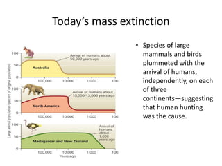Today’s mass extinction
• Species of large
mammals and birds
plummeted with the
arrival of humans,
independently, on each
of three
continents—suggesting
that human hunting
was the cause.
 