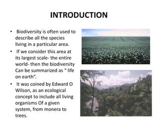 INTRODUCTION
• Biodiversity is often used to
describe all the species
living in a particular area.
• If we consider this area at
its largest scale- the entire
world- then the biodiversity
Can be summarized as “ life
on earth”.
• It was coined by Edward O
Wilson, as an ecological
concept to include all living
organisms Of a given
system, from monera to
trees.
 
