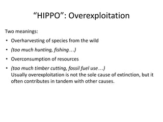“HIPPO”: Overexploitation
Two meanings:
• Overharvesting of species from the wild
• (too much hunting, fishing…)
• Overconsumption of resources
• (too much timber cutting, fossil fuel use…)
Usually overexploitation is not the sole cause of extinction, but it
often contributes in tandem with other causes.
 