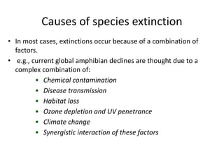 Causes of species extinction
• In most cases, extinctions occur because of a combination of
factors.
• e.g., current global amphibian declines are thought due to a
complex combination of:
• Chemical contamination
• Disease transmission
• Habitat loss
• Ozone depletion and UV penetrance
• Climate change
• Synergistic interaction of these factors
 