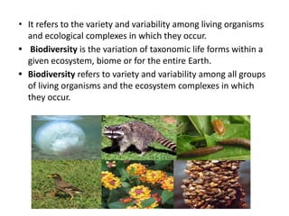 • It refers to the variety and variability among living organisms
and ecological complexes in which they occur.
• Biodiversity is the variation of taxonomic life forms within a
given ecosystem, biome or for the entire Earth.
• Biodiversity refers to variety and variability among all groups
of living organisms and the ecosystem complexes in which
they occur.
 