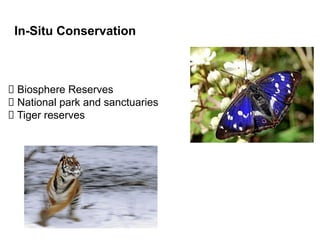 In-Situ Conservation
Biosphere Reserves
National park and sanctuaries
Tiger reserves
 