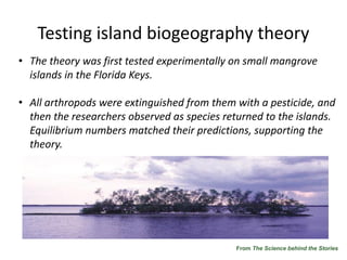 Testing island biogeography theory
• The theory was first tested experimentally on small mangrove
islands in the Florida Keys.
• All arthropods were extinguished from them with a pesticide, and
then the researchers observed as species returned to the islands.
Equilibrium numbers matched their predictions, supporting the
theory.
From The Science behind the Stories
 