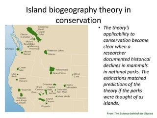 Island biogeography theory in
conservation
• The theory’s
applicability to
conservation became
clear when a
researcher
documented historical
declines in mammals
in national parks. The
extinctions matched
predictions of the
theory if the parks
were thought of as
islands.
From The Science behind the Stories
 