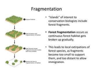 Fragmentation
• “Islands” of interest to
conservation biologists include
forest fragments.
• Forest fragmentation occurs as
continuous forest habitat gets
broken up gradually.
• This leads to local extirpations of
forest species, as fragments
become too small to support
them, and too distant to allow
immigration.
 