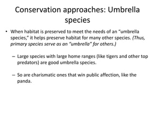 Conservation approaches: Umbrella
species
• When habitat is preserved to meet the needs of an “umbrella
species,” it helps preserve habitat for many other species. (Thus,
primary species serve as an “umbrella” for others.)
– Large species with large home ranges (like tigers and other top
predators) are good umbrella species.
– So are charismatic ones that win public affection, like the
panda.
 