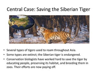 Central Case: Saving the Siberian Tiger
• Several types of tigers used to roam throughout Asia.
• Some types are extinct; the Siberian tiger is endangered.
• Conservation biologists have worked hard to save the tiger by
educating people, preserving its habitat, and breeding them in
zoos. Their efforts are now paying off.
 