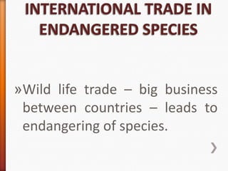 »Wild life trade – big business
between countries – leads to
endangering of species.

 