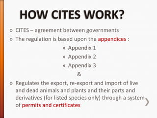 Biodiversity cites seminar | PPTX