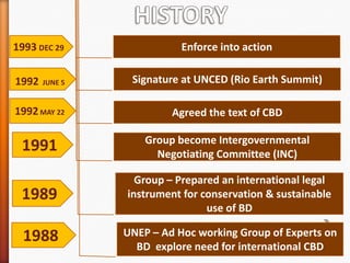 1993 DEC 29

1992

JUNE 5

Enforce into action
Signature at UNCED (Rio Earth Summit)

1992 MAY 22

Agreed the text of CBD

1991

Group become Intergovernmental
Negotiating Committee (INC)

1989

Group – Prepared an international legal
instrument for conservation & sustainable
use of BD

1988

UNEP – Ad Hoc working Group of Experts on
BD explore need for international CBD

 