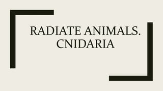 RADIATE ANIMALS.
CNIDARIA
 