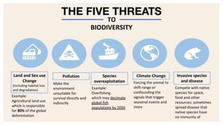 Biodiversity concept