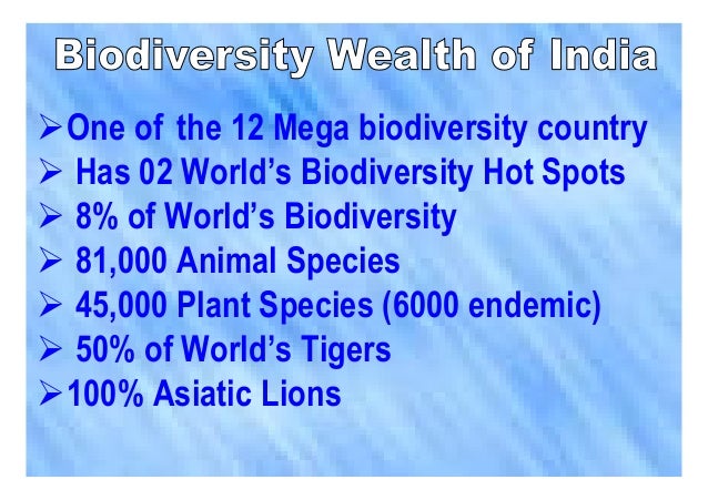 Which one of the following is important strategy for the conservation of biodiversity
