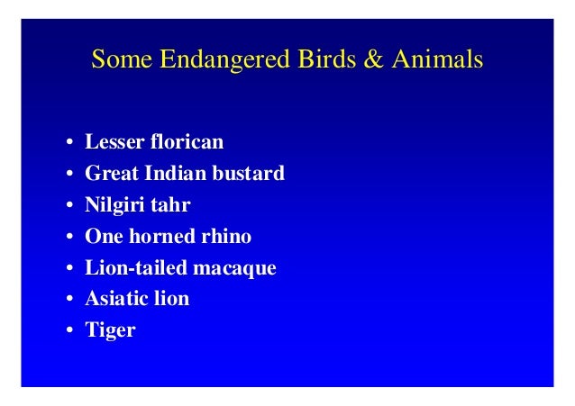 Which one of the following is important strategy for the conservation of biodiversity