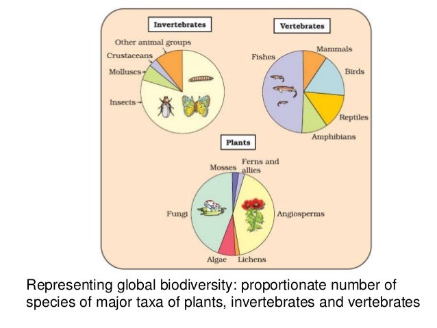 Biodiversity and conservation