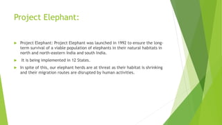Project Elephant:
 Project Elephant: Project Elephant was launched in 1992 to ensure the long-
term survival of a viable population of elephants in their natural habitats in
north and north-eastern India and south India.
 It is being implemented in 12 States.
 In spite of this, our elephant herds are at threat as their habitat is shrinking
and their migration routes are disrupted by human activities.
 