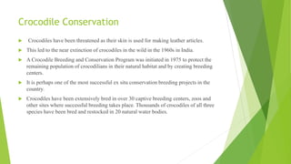 Crocodile Conservation
 Crocodiles have been threatened as their skin is used for making leather articles.
 This led to the near extinction of crocodiles in the wild in the 1960s in India.
 A Crocodile Breeding and Conservation Program was initiated in 1975 to protect the
remaining population of crocodilians in their natural habitat and by creating breeding
centers.
 It is perhaps one of the most successful ex situ conservation breeding projects in the
country.
 Crocodiles have been extensively bred in over 30 captive breeding centers, zoos and
other sites where successful breeding takes place. Thousands of crocodiles of all three
species have been bred and restocked in 20 natural water bodies.
 