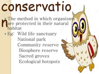 Biodiversity conservation.doc