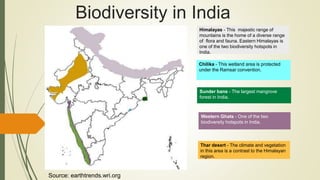Biodiversity in India
Thar desert - The climate and vegetation
in this area is a contrast to the Himalayan
region.
Western Ghats - One of the two
biodiversity hotspots in India.
Sunder bans - The largest mangrove
forest in India.
Chilika - This wetland area is protected
under the Ramsar convention.
Himalayas - This majestic range of
mountains is the home of a diverse range
of flora and fauna. Eastern Himalayas is
one of the two biodiversity hotspots in
India.
Source: earthtrends.wri.org
 