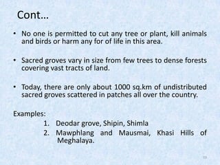 Biodiversity conservation | PDF