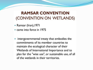 Biodiversity conservation, Climate Change mitigation efforts