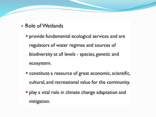Biodiversity conservation, Climate Change mitigation efforts
