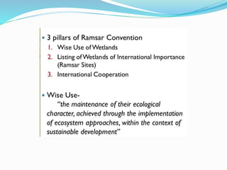 Biodiversity conservation, Climate Change mitigation efforts