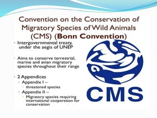 Biodiversity conservation, Climate Change mitigation efforts