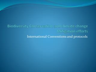 International Conventions and protocols
 