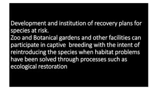 Development and institution of recovery plans for
species at risk.
Zoo and Botanical gardens and other facilities can
participate in captive breeding with the intent of
reintroducing the species when habitat problems
have been solved through processes such as
ecological restoration
 