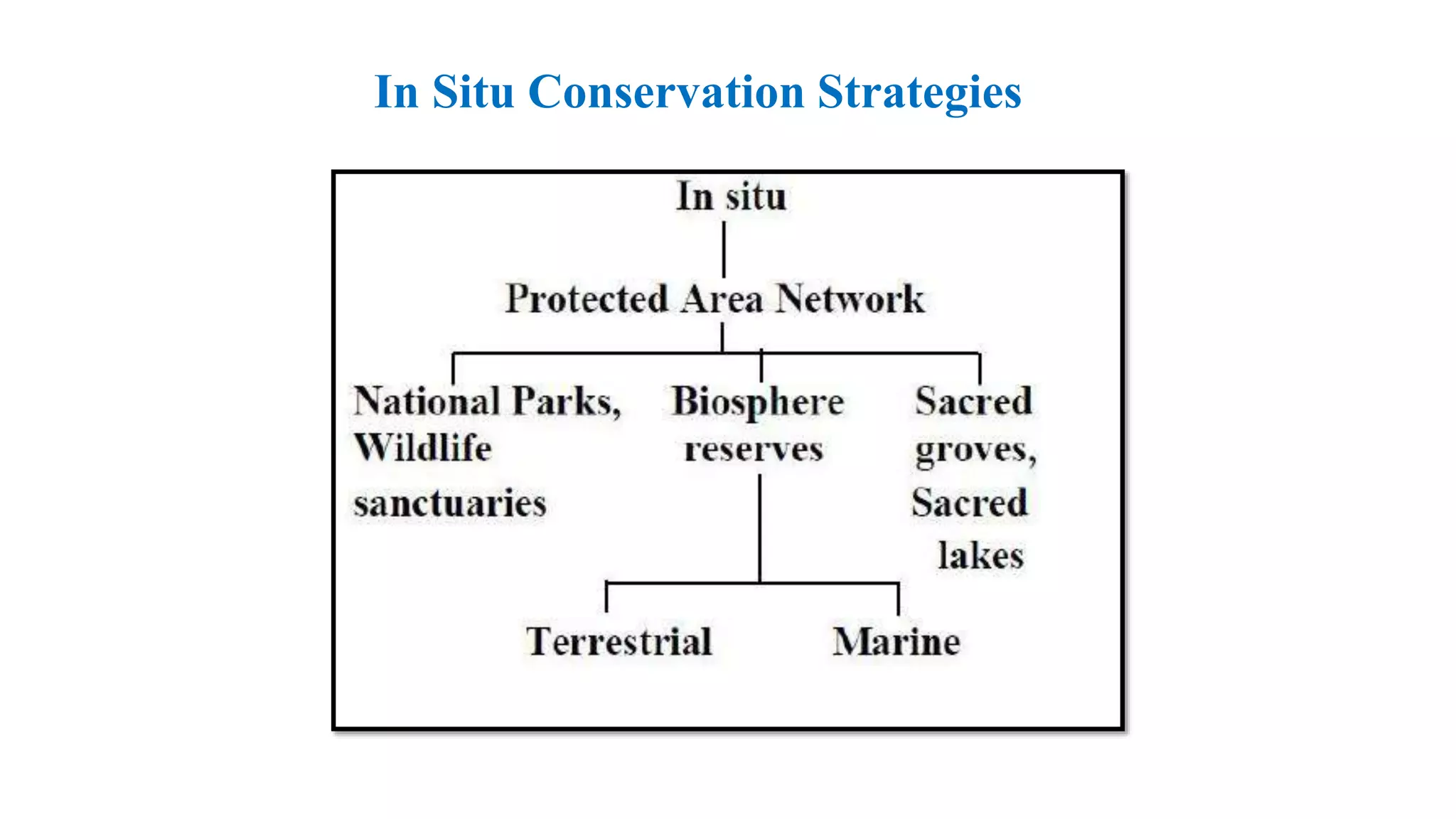 In Situ Conservation Strategies
 