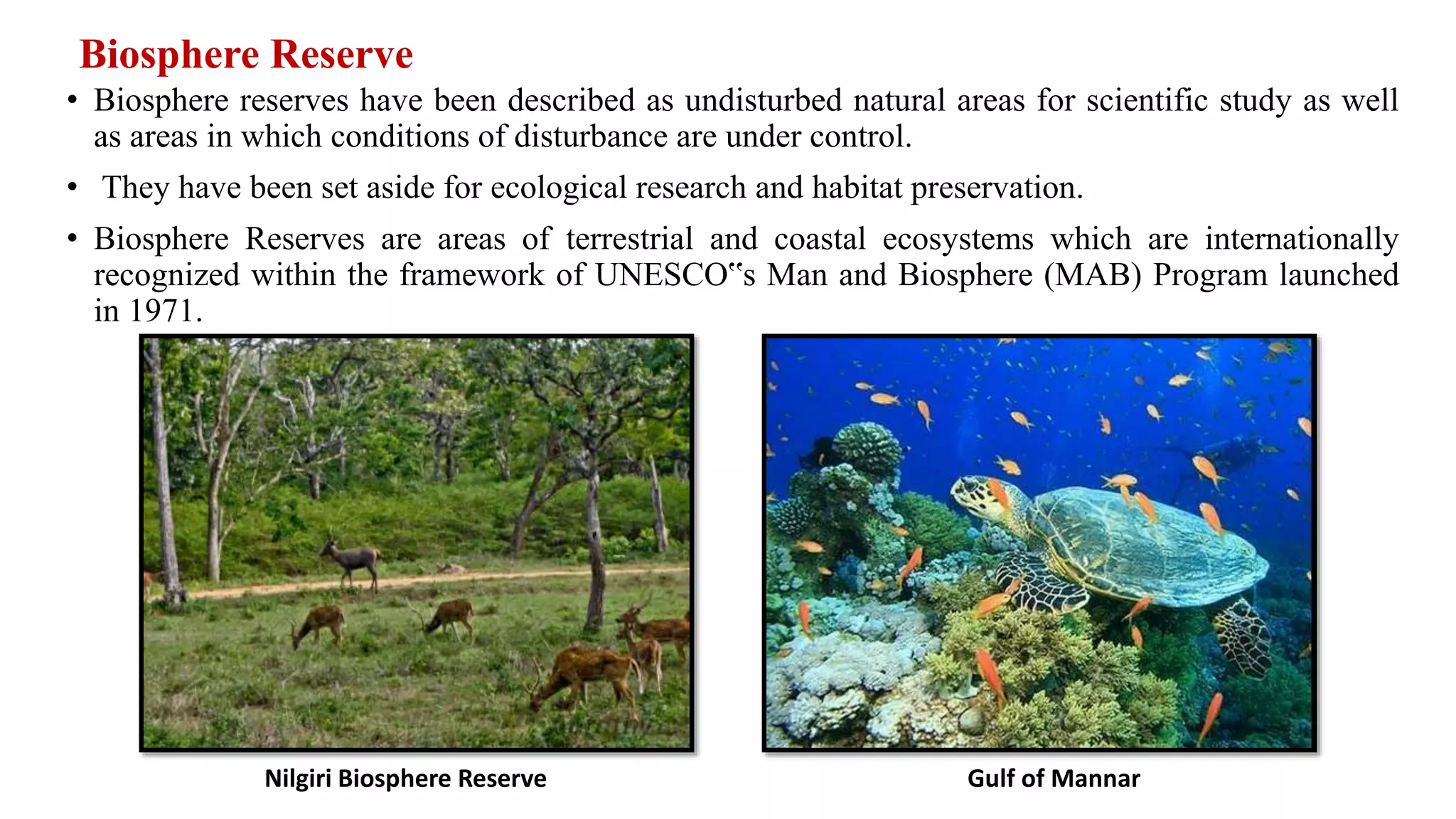 Biosphere Reserve
• Biosphere reserves have been described as undisturbed natural areas for scientific study as well
as areas in which conditions of disturbance are under control.
• They have been set aside for ecological research and habitat preservation.
• Biosphere Reserves are areas of terrestrial and coastal ecosystems which are internationally
recognized within the framework of UNESCO‟s Man and Biosphere (MAB) Program launched
in 1971.
Nilgiri Biosphere Reserve Gulf of Mannar
 