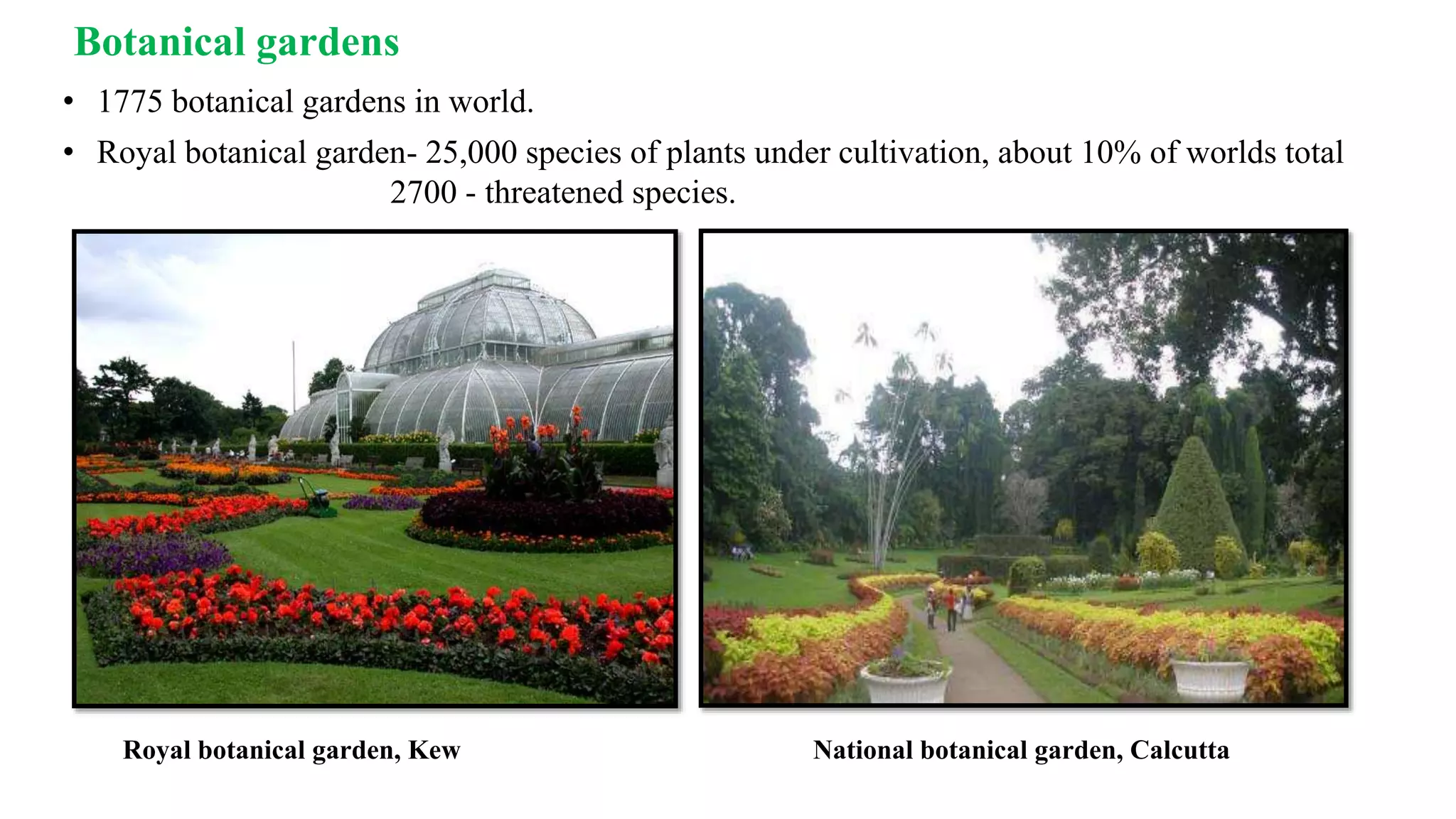Royal botanical garden, Kew National botanical garden, Calcutta
Botanical gardens
• 1775 botanical gardens in world.
• Royal botanical garden- 25,000 species of plants under cultivation, about 10% of worlds total
2700 - threatened species.
 