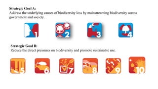 Strategic Goal A:
Address the underlying causes of biodiversity loss by mainstreaming biodiversity across
government and society.
Strategic Goal B:
Reduce the direct pressures on biodiversity and promote sustainable use.
 