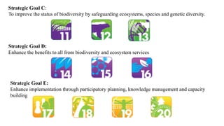 Strategic Goal C:
To improve the status of biodiversity by safeguarding ecosystems, species and genetic diversity.
Strategic Goal D:
Enhance the benefits to all from biodiversity and ecosystem services
Strategic Goal E:
Enhance implementation through participatory planning, knowledge management and capacity
building
 