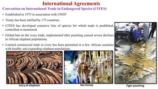 International Agreements
Convention on International Trade in Endangered Species (CITES)
• Established in 1973 in association with UNEP
• Treaty has been ratified by 175 countries.
• CITES has developed extensive lists of species for which trade is prohibited,
controlled or monitored.
• Global ban on the ivory trade, implemented after poaching caused severe declines
in African elephant populations.
• Limited commercial trade in ivory has been permitted in a few African countries
with healthy and expanding elephant populations.
Ivory of elephant Sea horses Tiger poaching
 