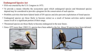 Endangered Species Act
• ESA was enacted by the U.S. Congress in 1973.
• To provide a means whereby the ecosystems upon which endangered species and threatened species
depend may be considered to provide a program for the conservation of such species.
• Prohibits activities that harm federal lands of EN species and also prevents exploitation of listed species
• Endangered species are those likely to become extinct as a result of human activities and/or natural
causes in all or a significant portion of their range.
• Threatened species are those likely to become endangered in the near future.
• Since 1973 more than 1300 U.S. species have been added to the list. About 20 species have been delisted.
Bald EagleBrown Pelican
 