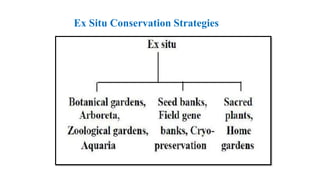 Ex Situ Conservation Strategies
 
