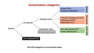 Extinct (EX)
Extinct in wild (EW)
Critically Endangered (CR)
Endangered (EN)
Vulnerable (VU)
Near threatened (NT)
Least Concern (LC)
Adequate data:
Inadequate data:
Evaluated:
Species:
Not evaluated (NE)
Data Deficient (DD)
ThreatenedExtinctLowerrisk
The IUCN categories of conservation status.
Conservation categories
 