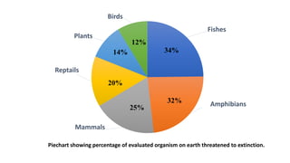 Fishes
Amphibians
Mammals
Reptails
Plants
Birds
34%
25%
32%
20%
14%
12%
Piechart showing percentage of evaluated organism on earth threatened to extinction.
 