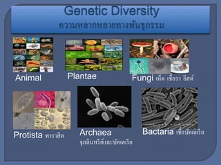 Animal Plantae Fungi เห็ด เชื้อรา ยีสต์
Protista พาราสิต Archaea
จุลลินทรีย์และบัคเตเรีย
Bactaria เชื้อบัคเตเรีย
 