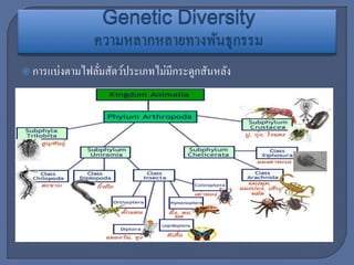  การแบ่งตามไฟลั่มสัตว์ประเภทไม่มีกระดูกสันหลัง
 